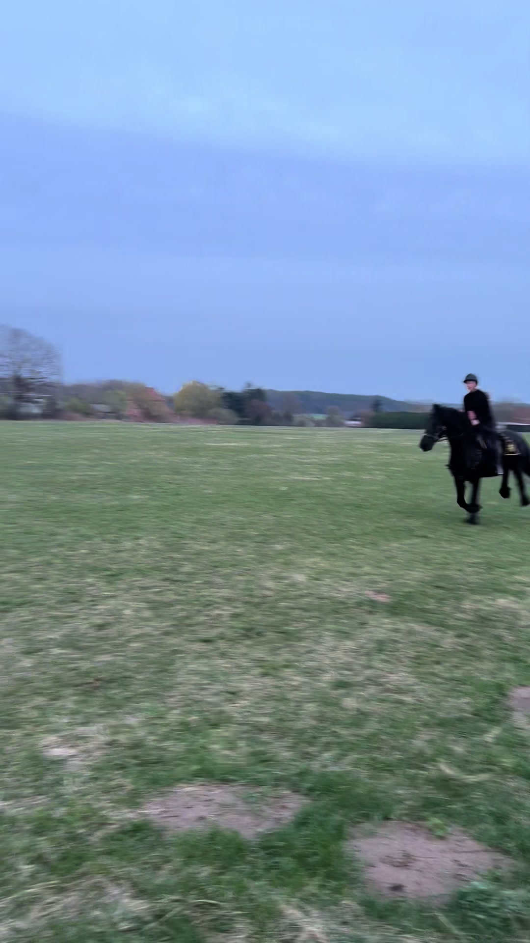 @Horses