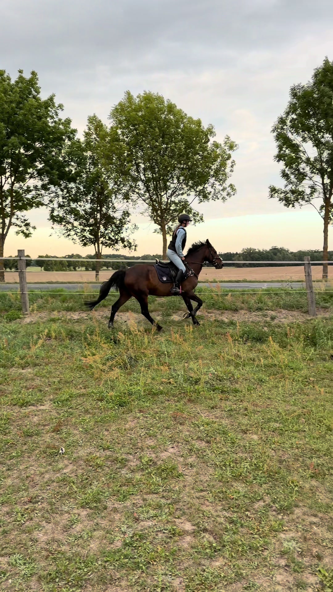 @springpony_donar