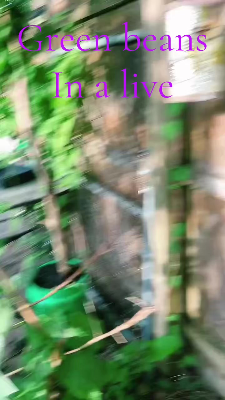 @silkyrose