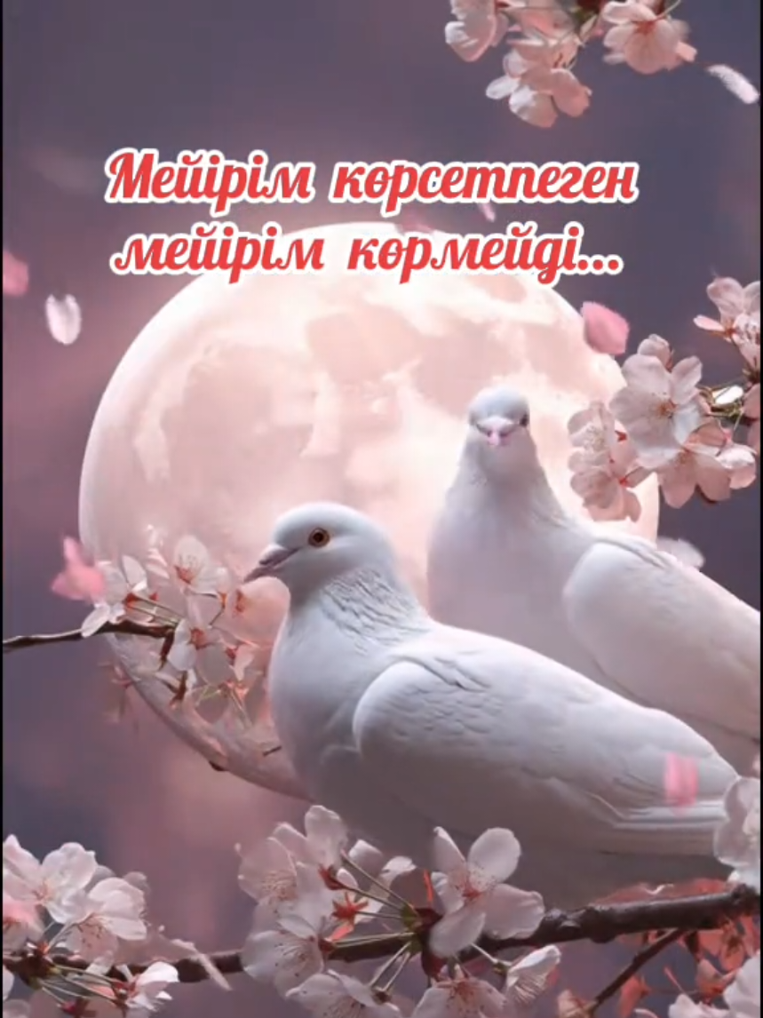 @Зулхумар Курбанбекова⭐️⭐️🔥