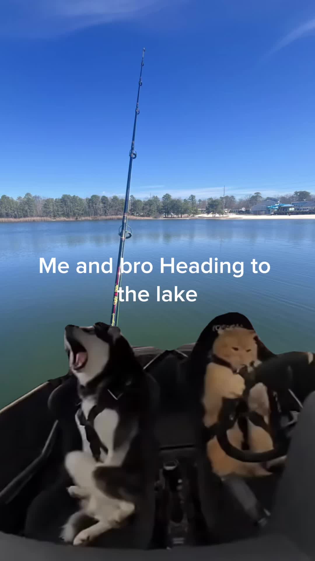 @C-DOGG_33