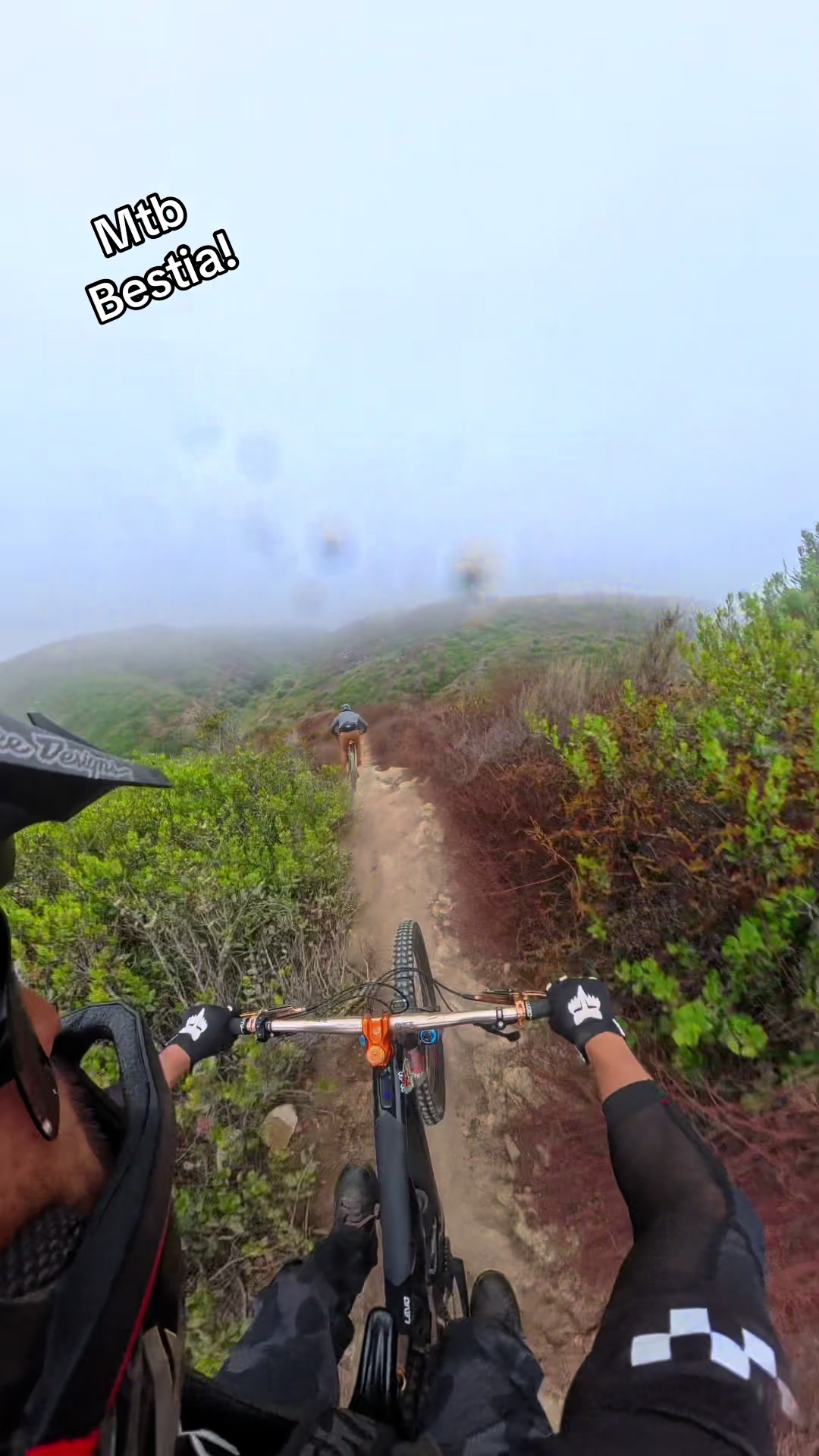 @Mtb BESTIA!