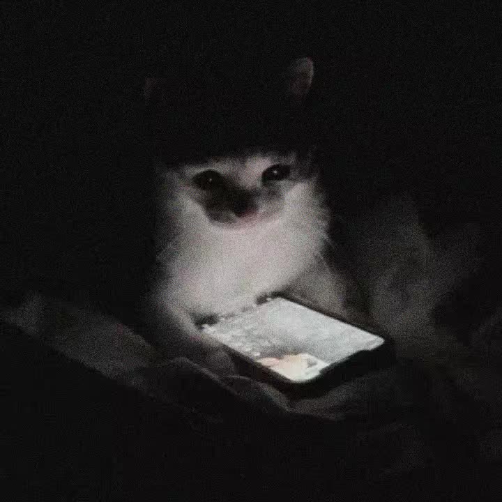 @ᴍʙ.ʀᴀʏʟɪ