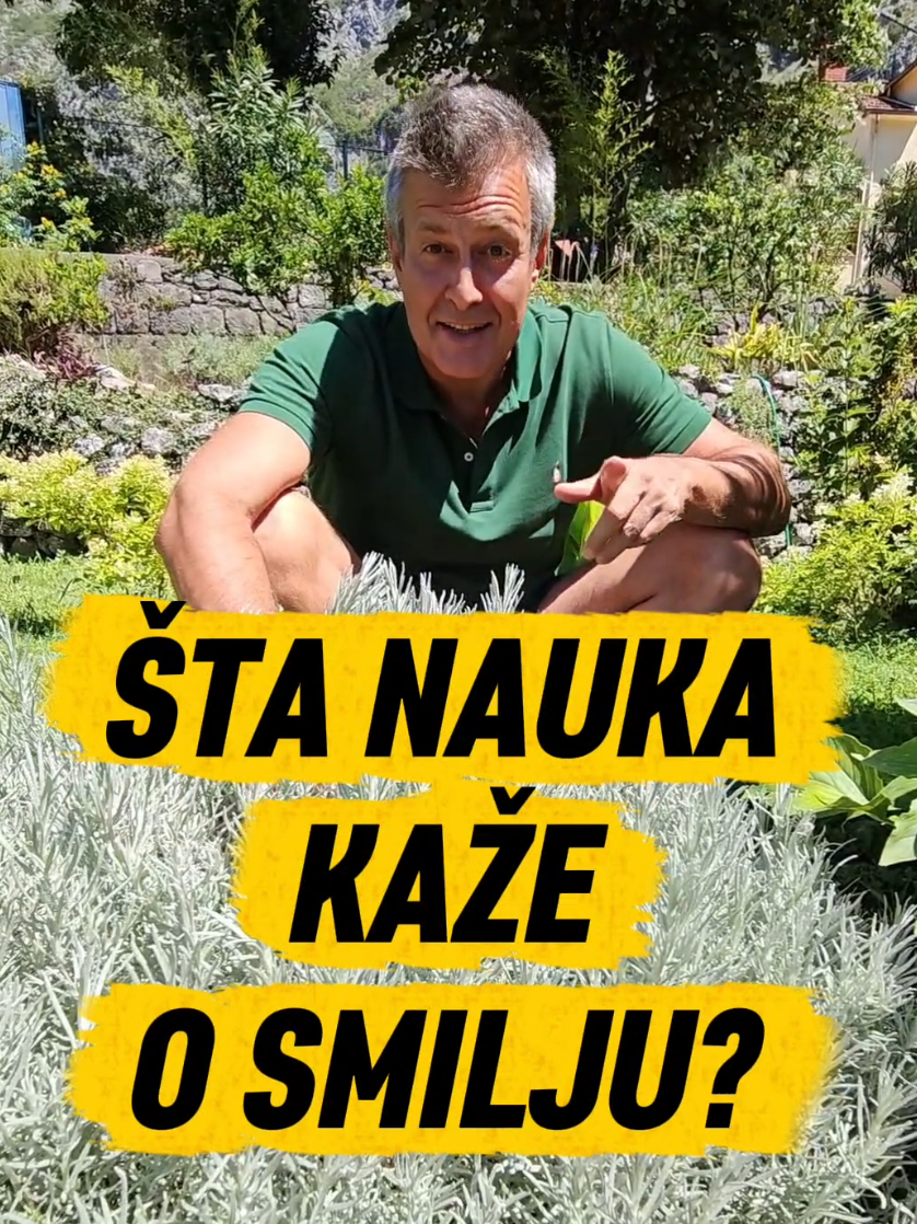 @Dejan Dragićević