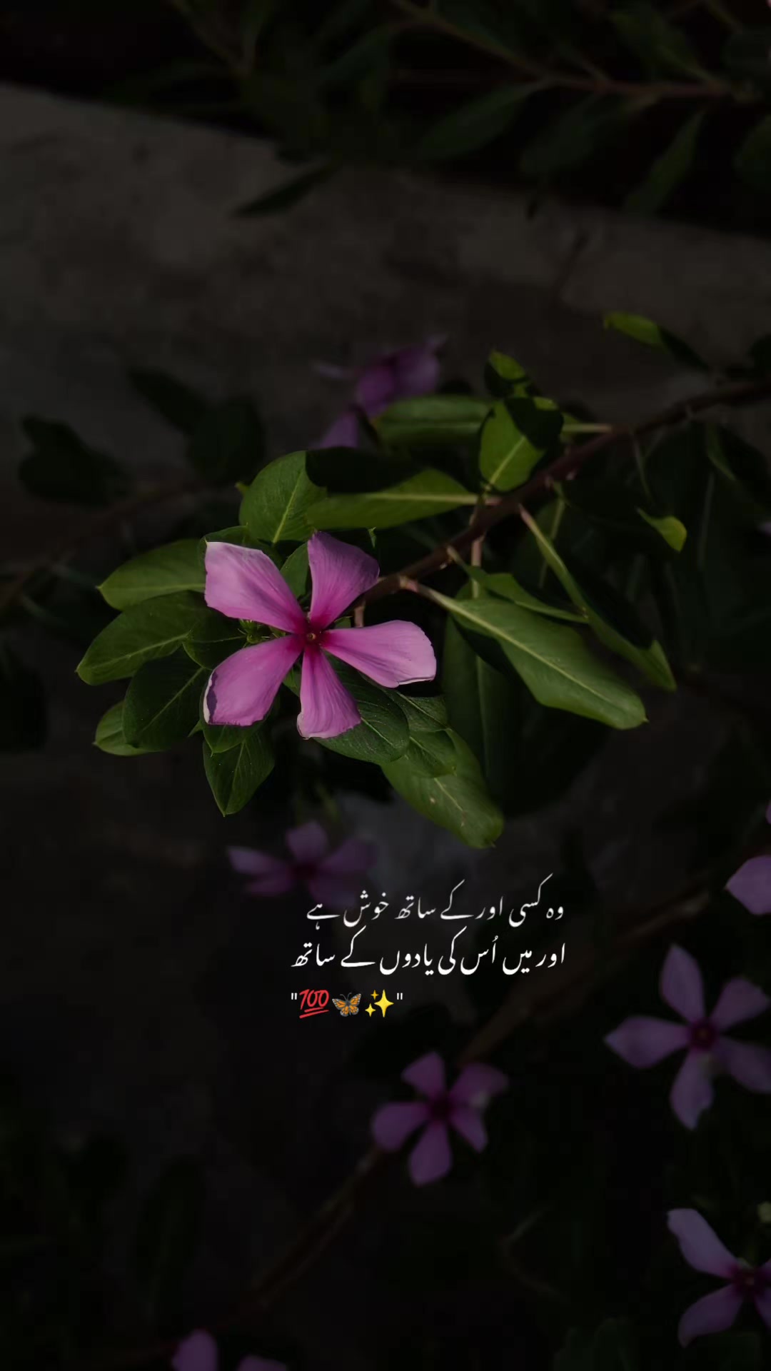 @ــــہہـ٨ــ&hearts;️ـــہہـ٨ـ