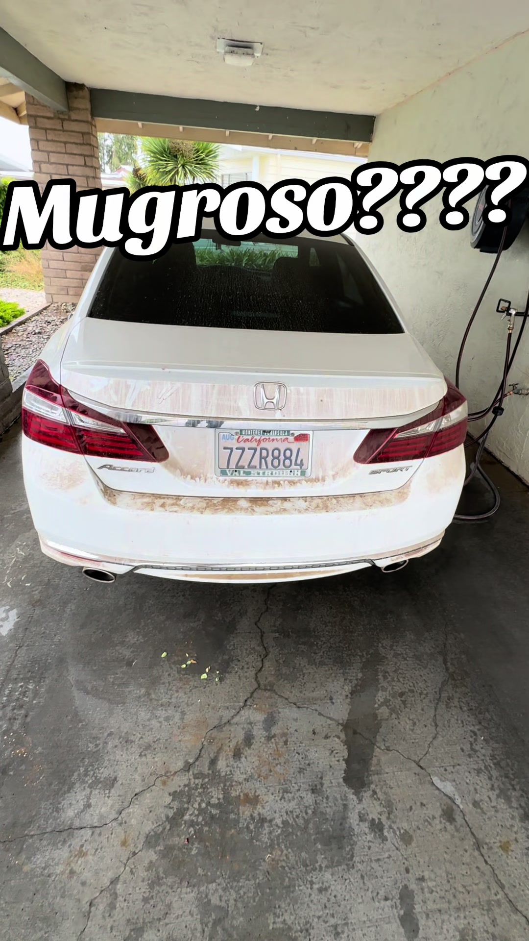 @elbuenavida58