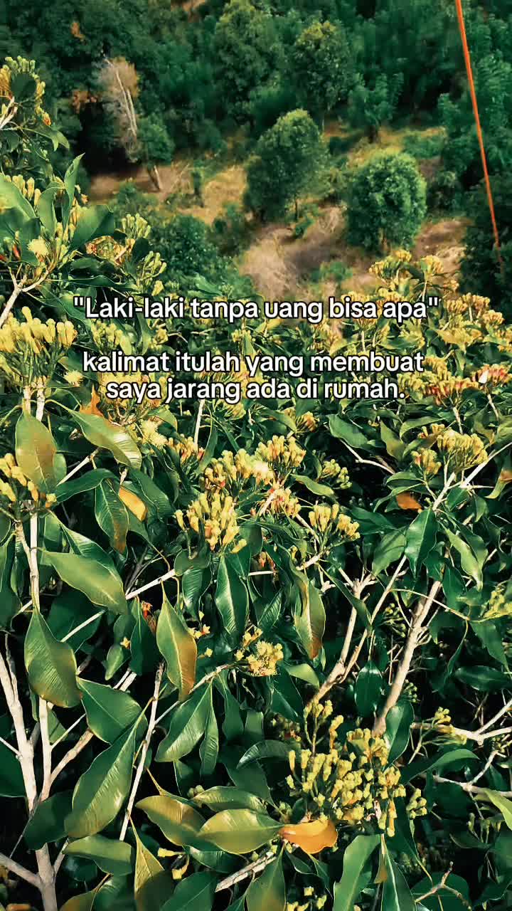 @โ๏ธ๐
ฑ๐
ฐ๐
ฝ๐
ถ ๐๐
ธ๐
ป๐
ปโ๏ธ
