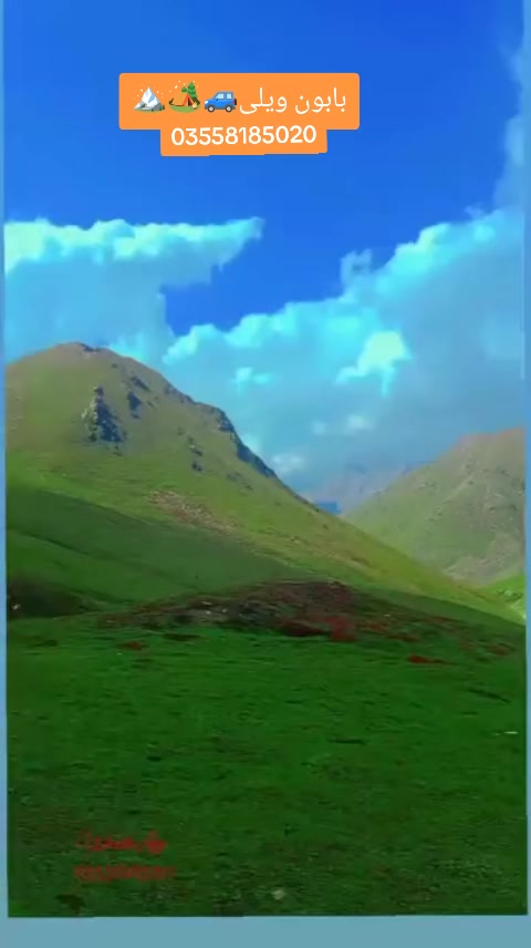 @sajid 786