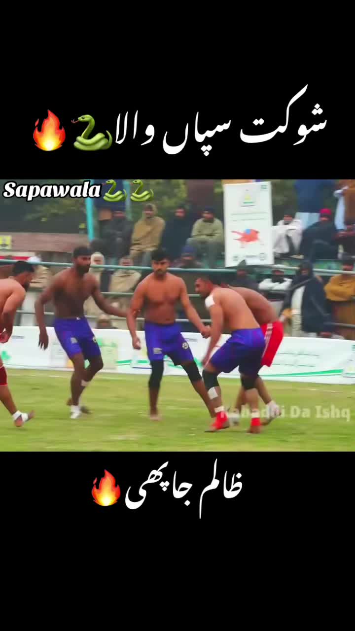 @Shokat sapa wala 🐍🐍