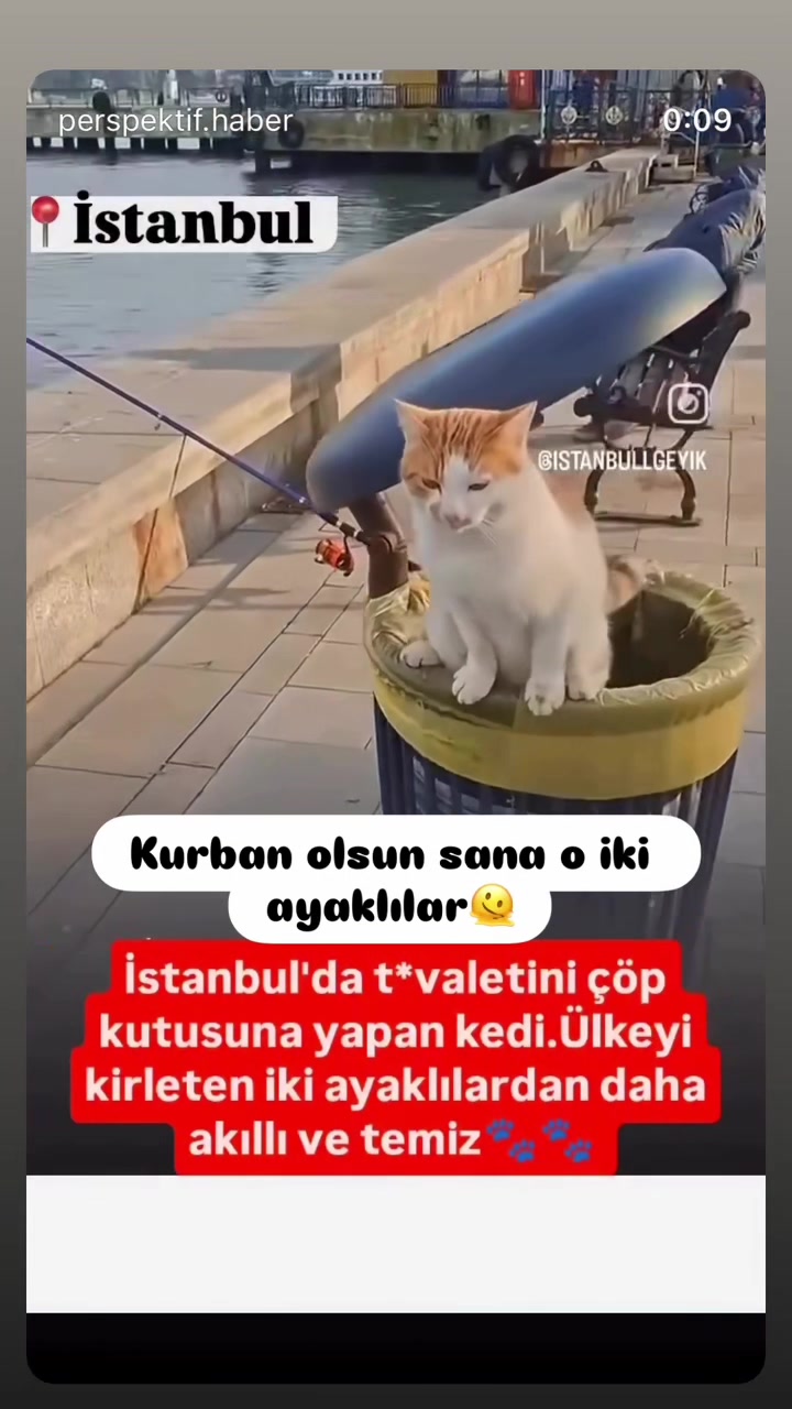 @Şapkalı Kadın