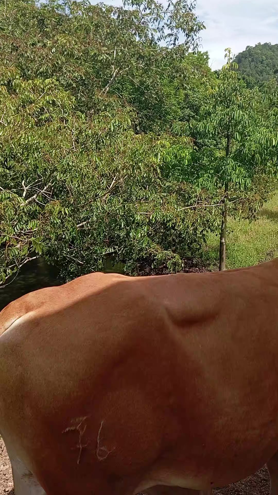 @user79817016631184