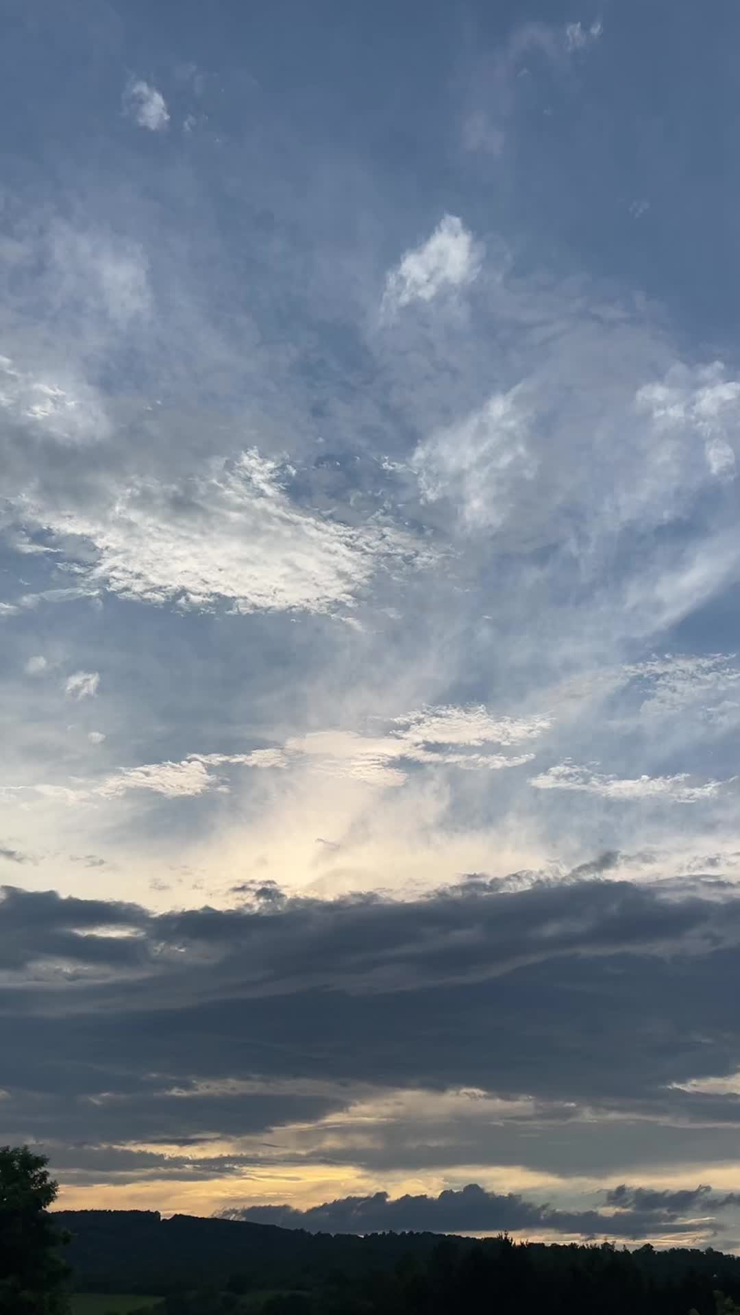 @Eldelascanicas🇸🇻🌺🇭🇳🌙🐍