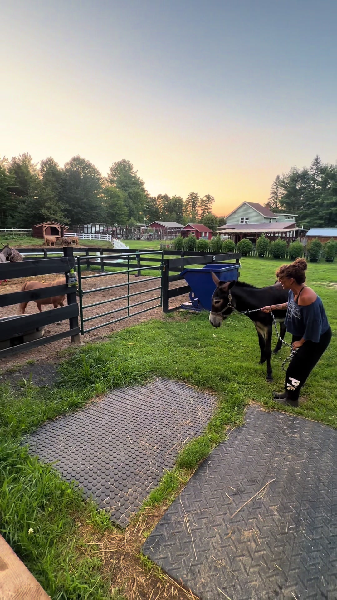 @Unshackled Hearts Ranch