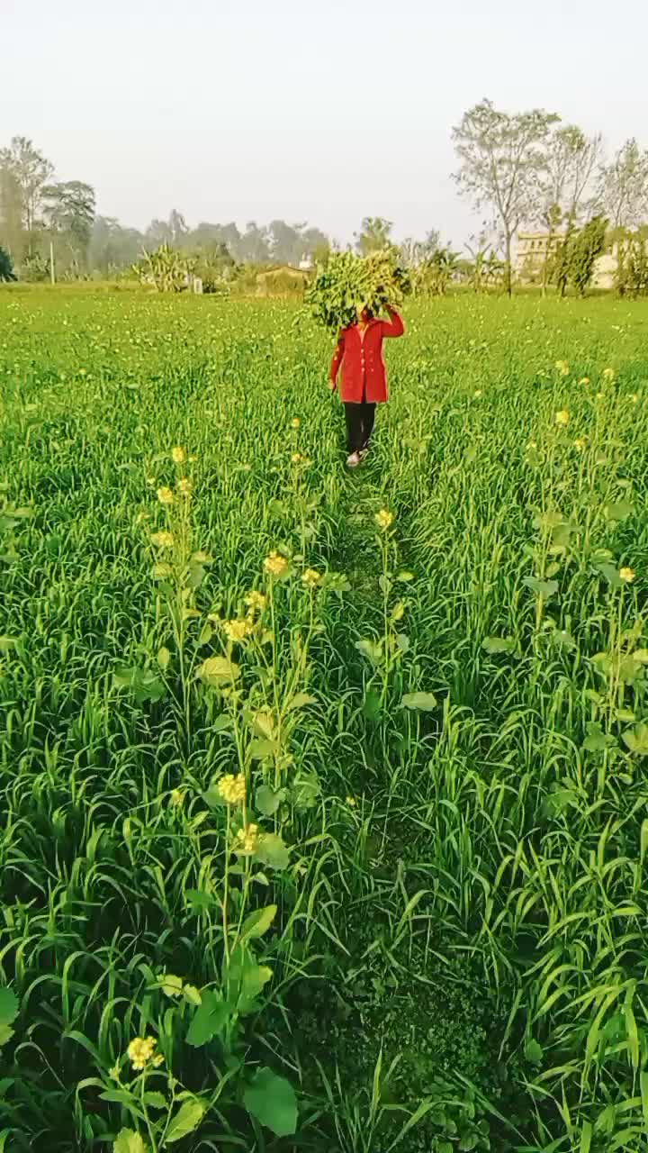 @Luhardil