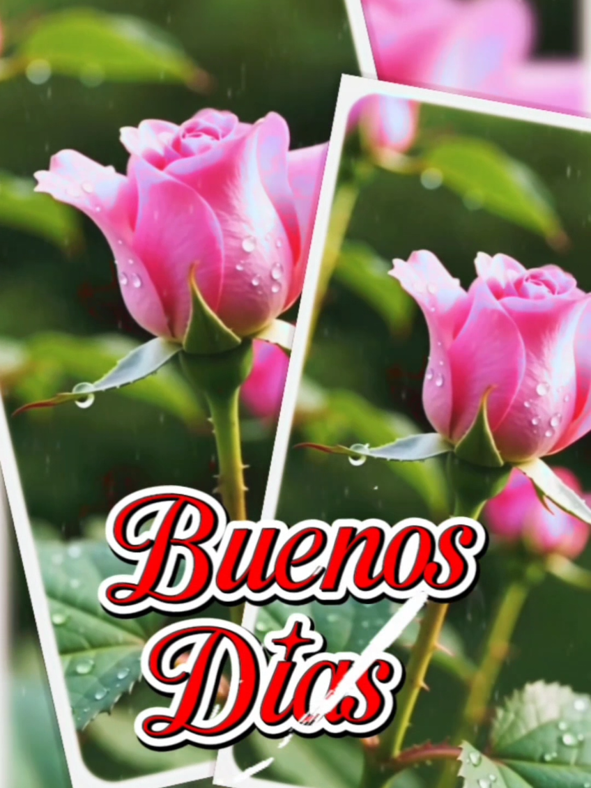 @Mary Elena