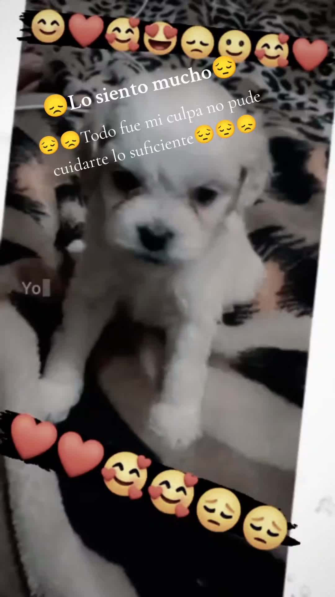 @❤️🔥🍦𝕐𝕙𝕠𝕓𝕒𝕟𝕒🐇☄️