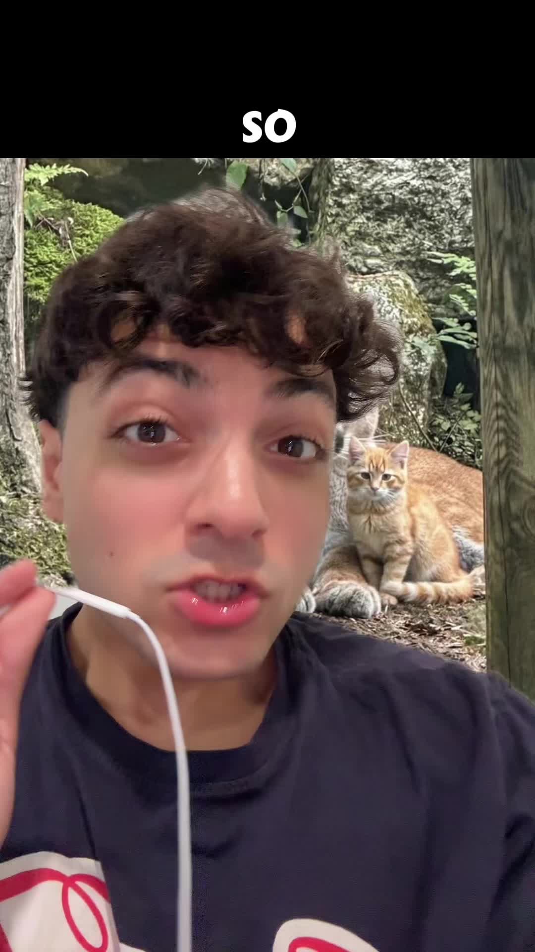 @Sbladn