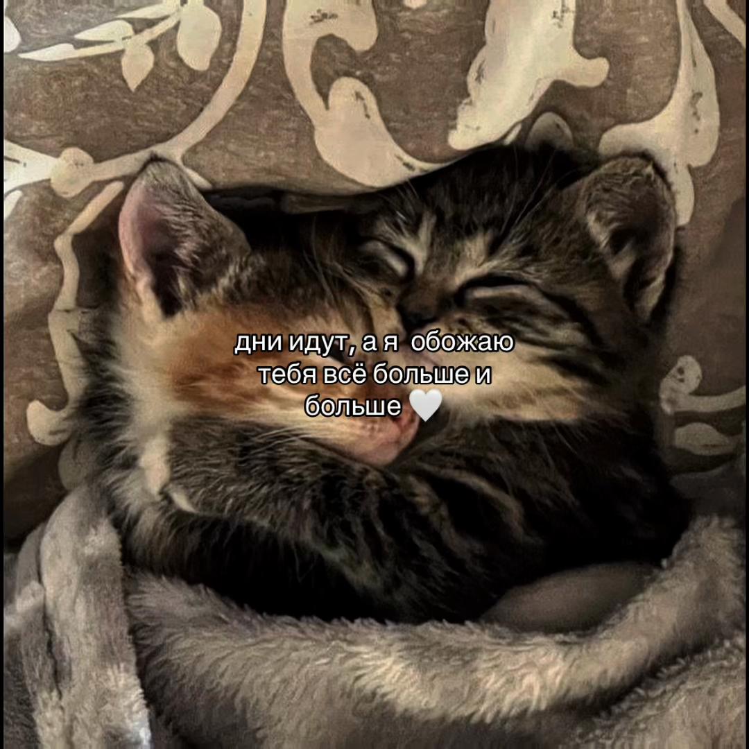 @Х̶И̶Т̶Ы̶ У̶ П̶Л̶И̶Т̶Ы̶🎧