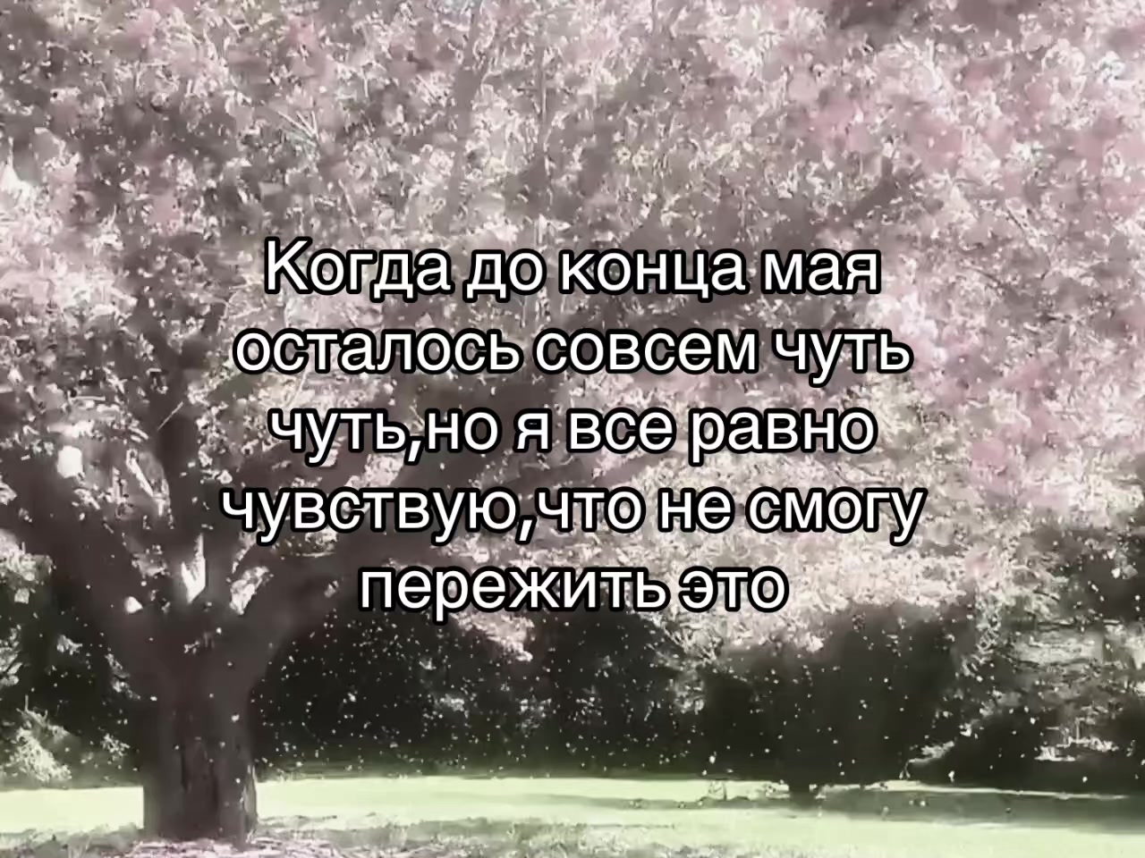 @godqwertylol