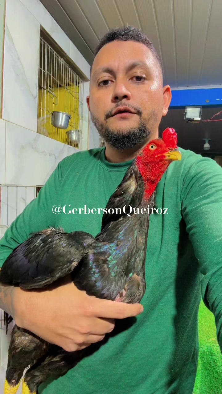 @gerberson.queiroz