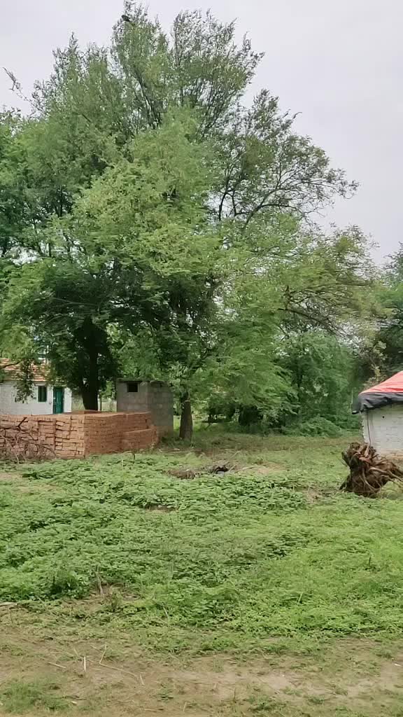 @P N R