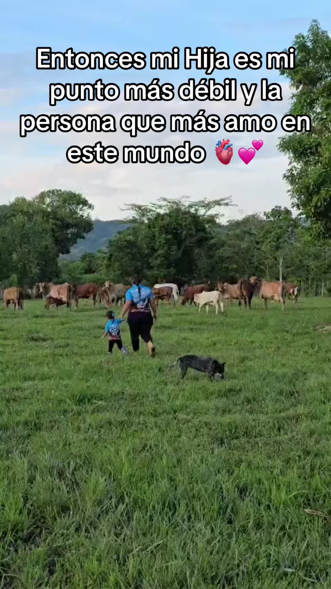 @Sharon Santiago Garcia