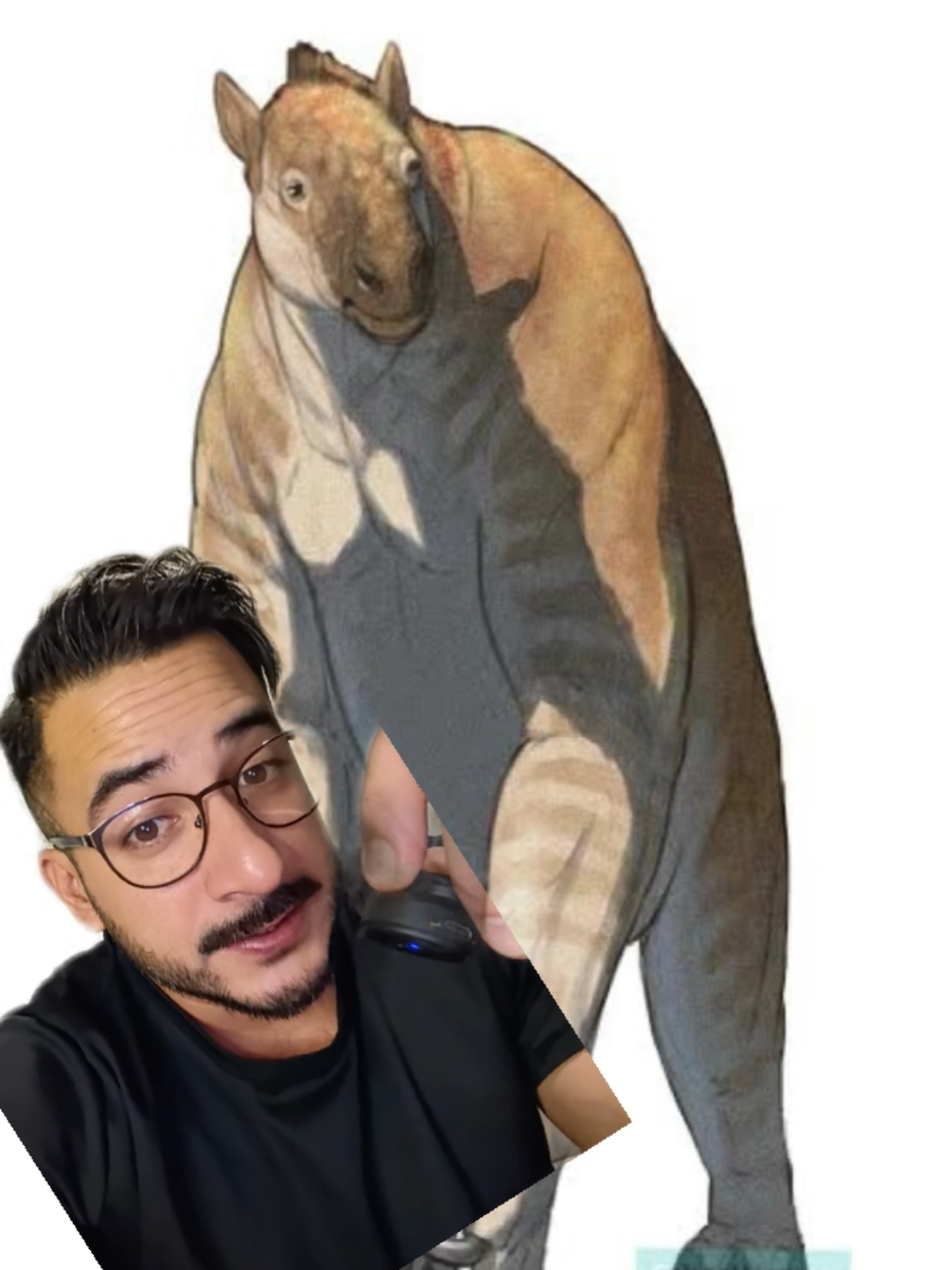 @nolosejose