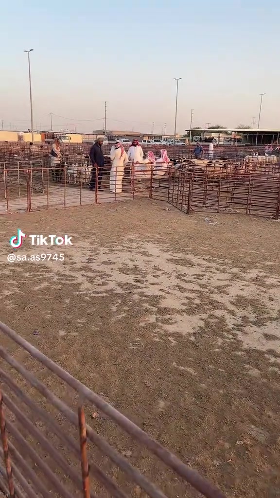 @mohamed_ksa0