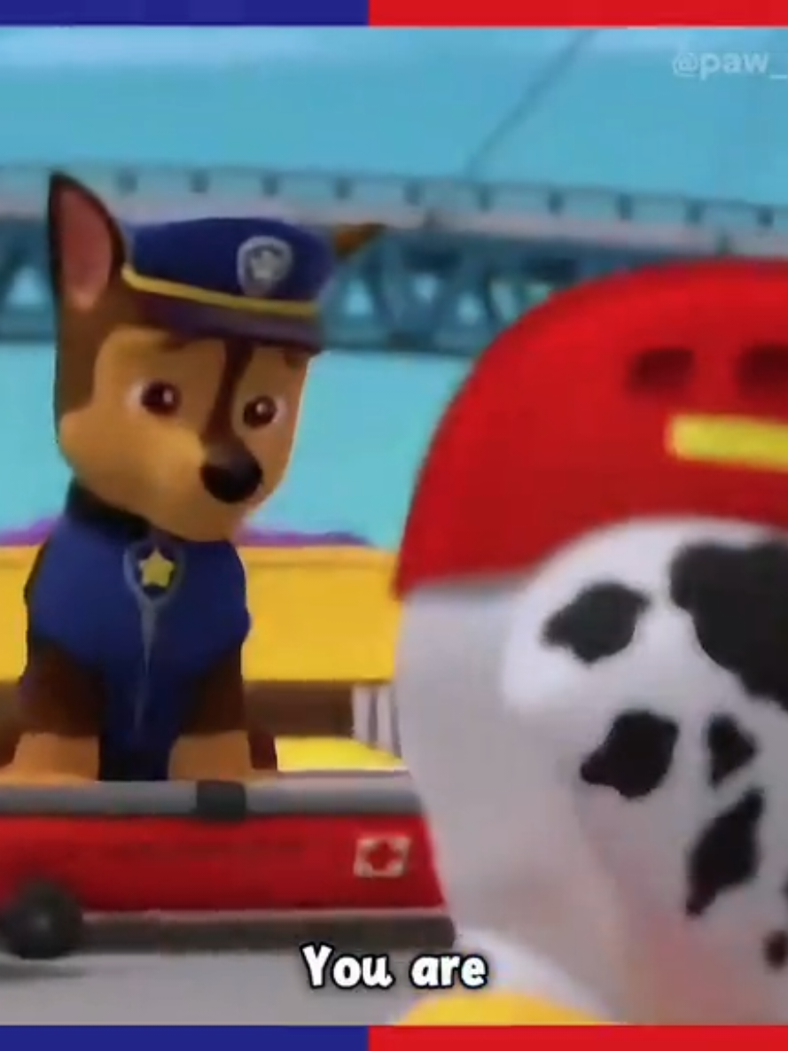 @Jester 🎭 (Paw Patrol No1 Fan)