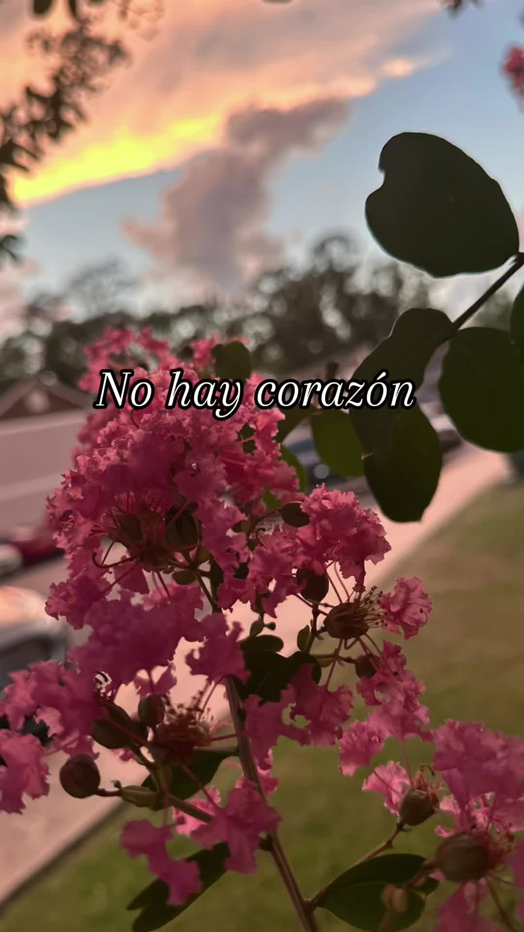 @💕☆𝐒𝐎𝐅𝐈𝐀☆💕