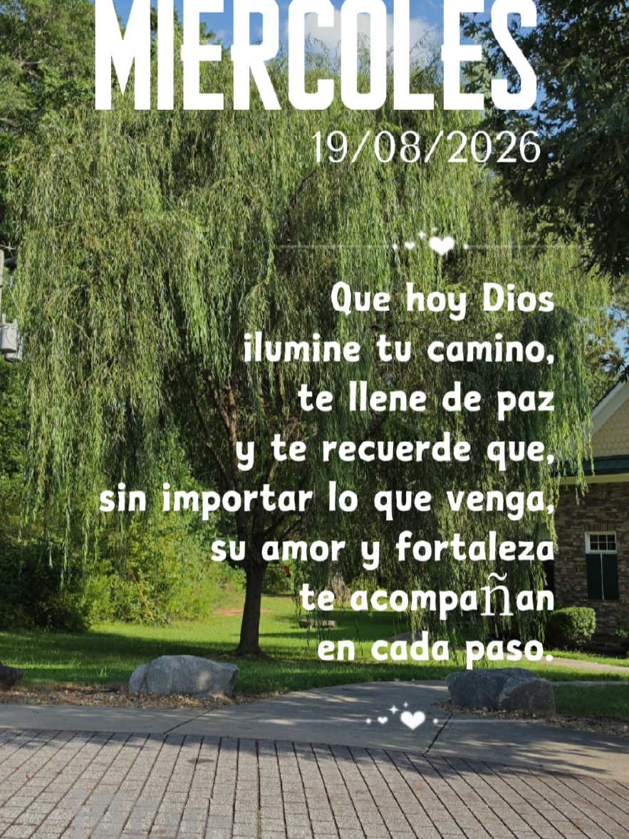 @doly.dfn