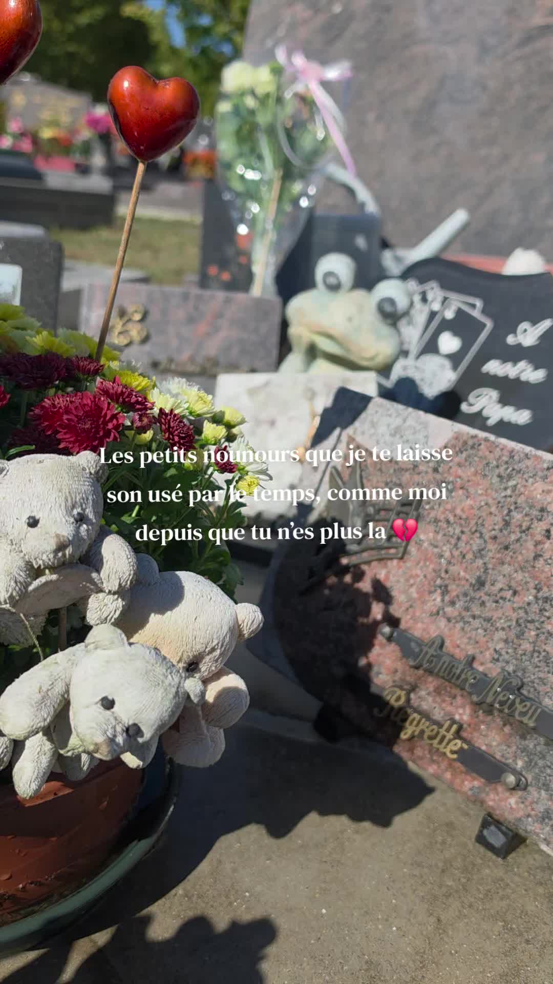 @✧&deg;&bull;ℙ𝕖𝕥𝕚𝕥𝕖 𝕝𝕚𝕠𝕟𝕟𝕖&bull;&deg;✧