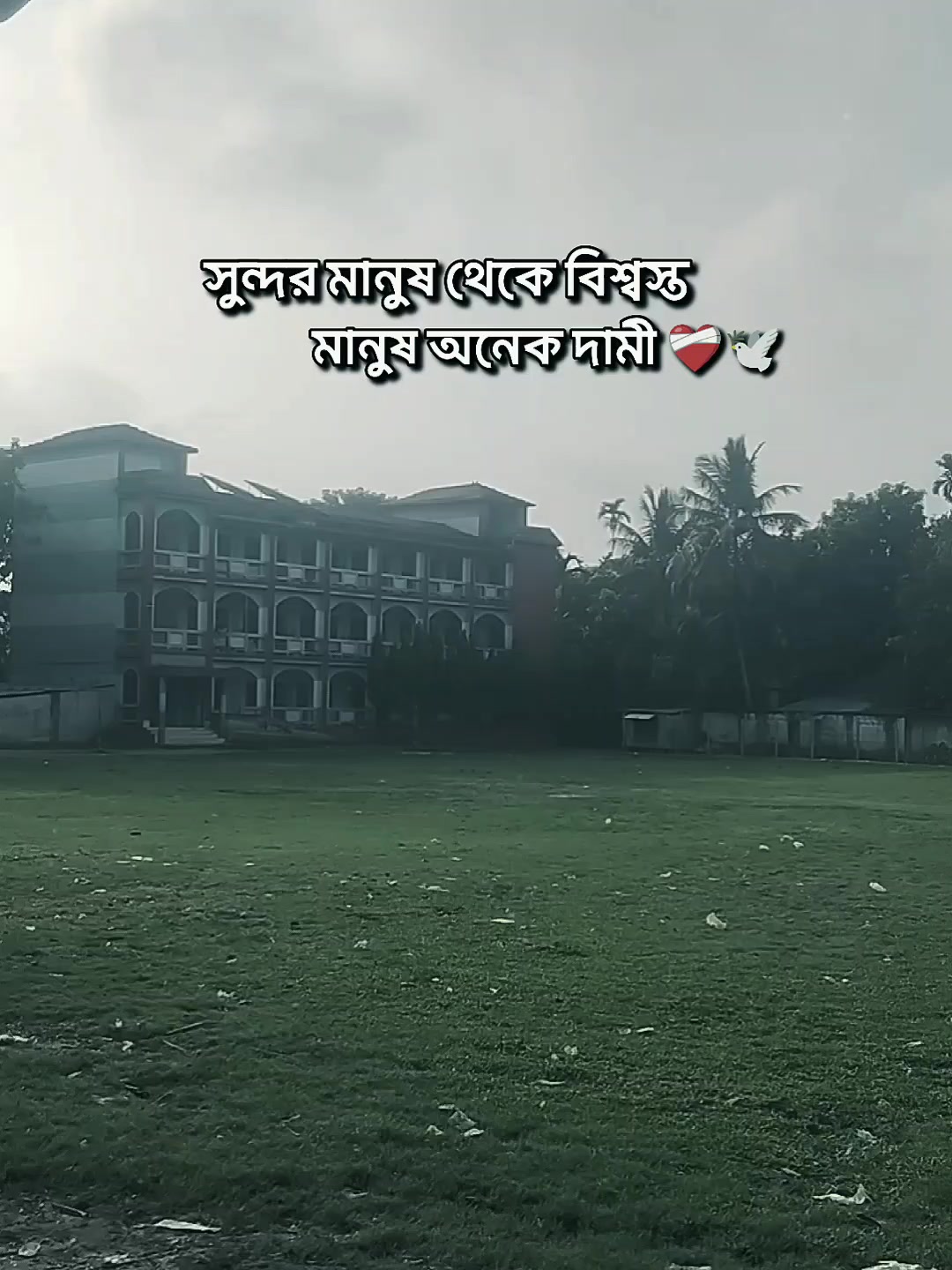 @🌸🌸メʀꫝᴊᴜ࿐🌸🌸