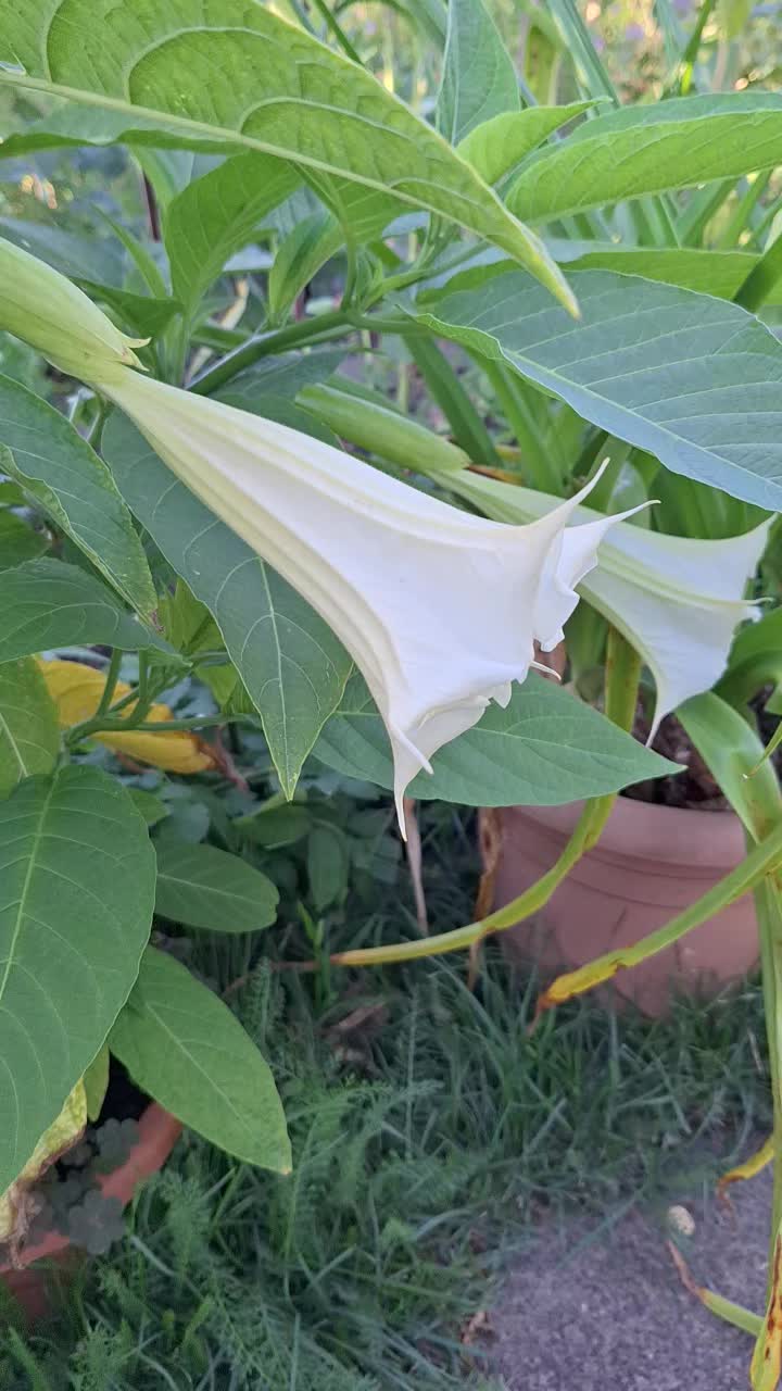 @Natur und Garten