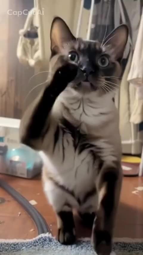 @睡眠プロデュース