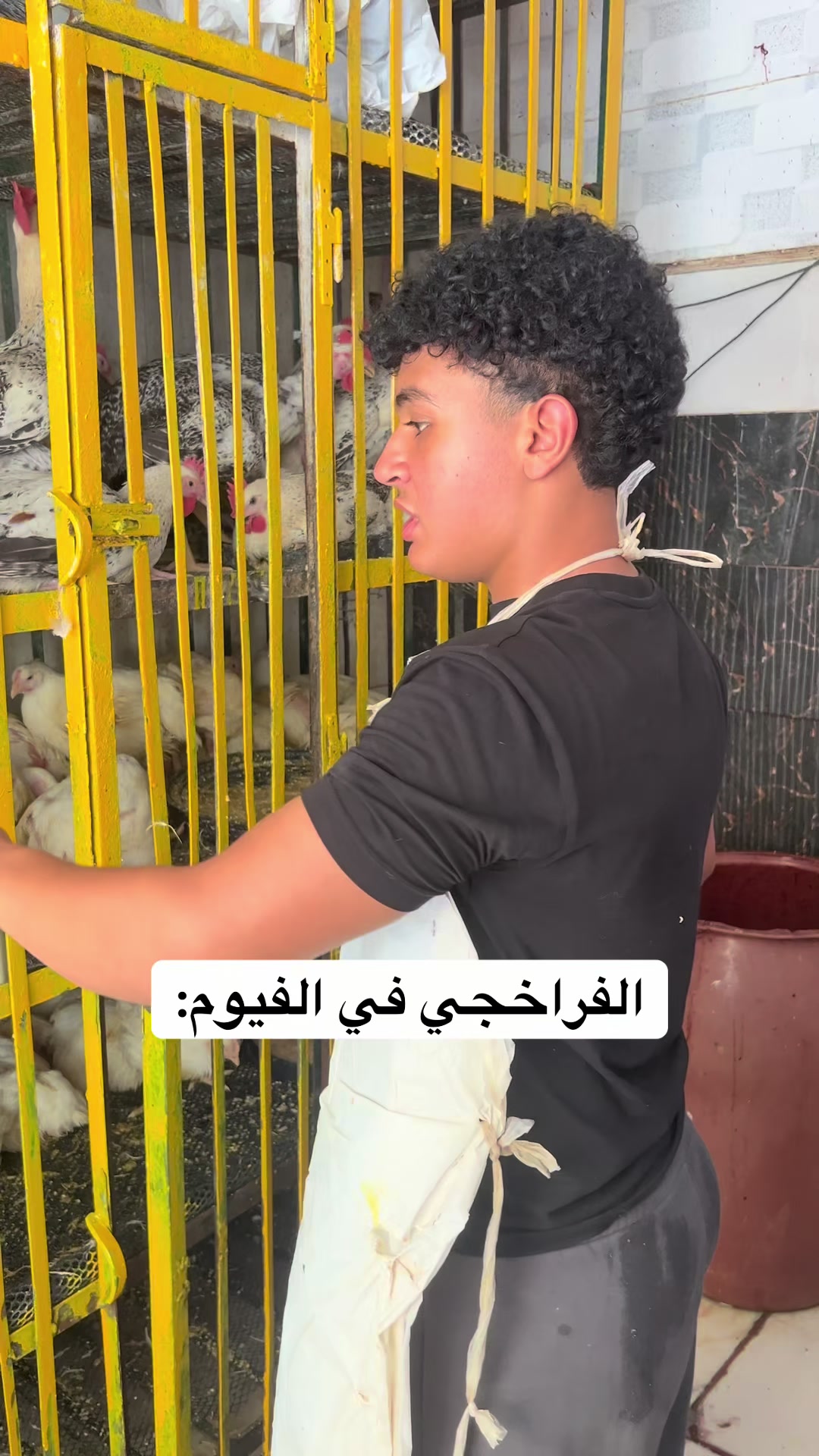 @احمد جمال ahmed gamal🎬