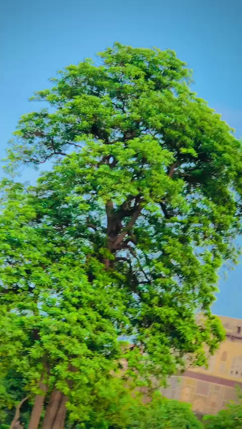 @🏔️پہاڑوں کاشھزادہ⛰️