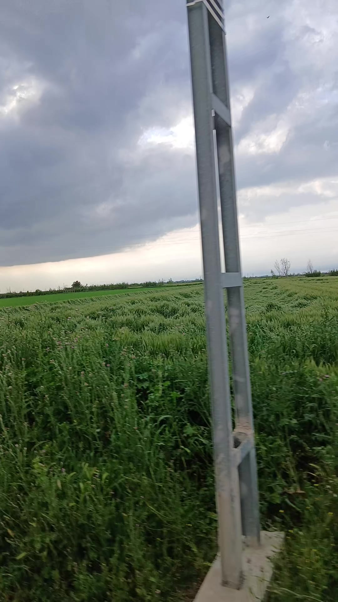 @Zeynep D&uuml;zdelen