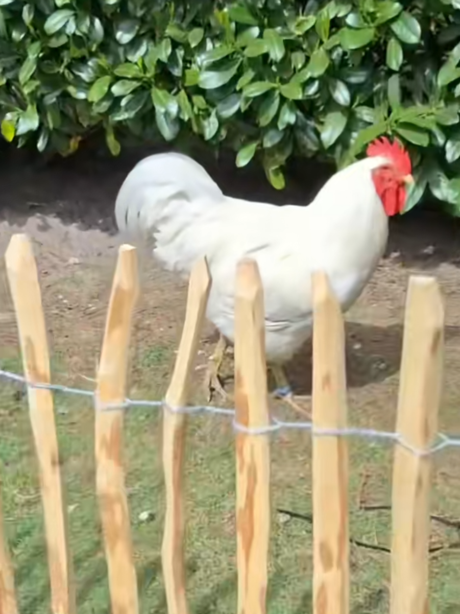 @𝗠𝗮𝗿𝗰𝗶𝗻 𝗗𝗮𝗶𝗹𝘆 🇩🇪