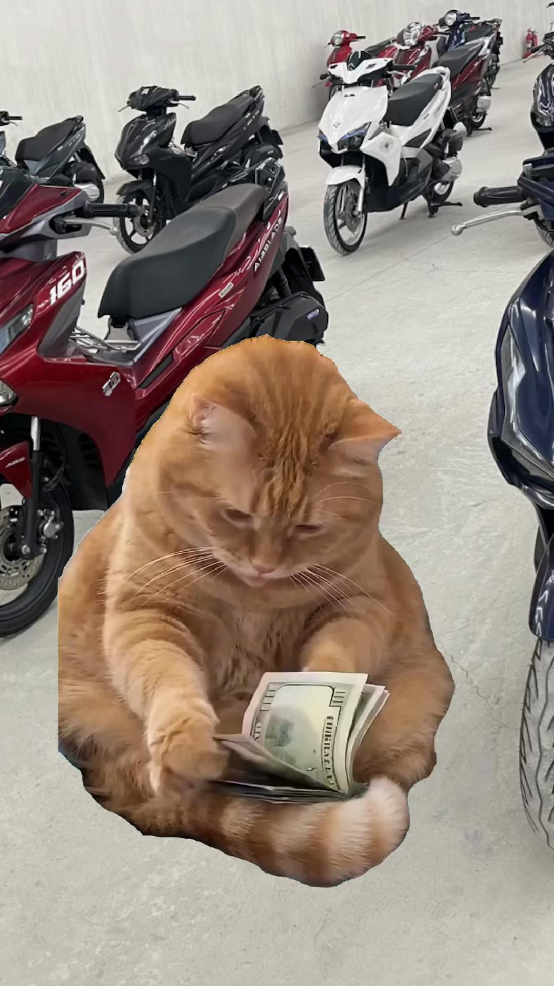@Khương Phan