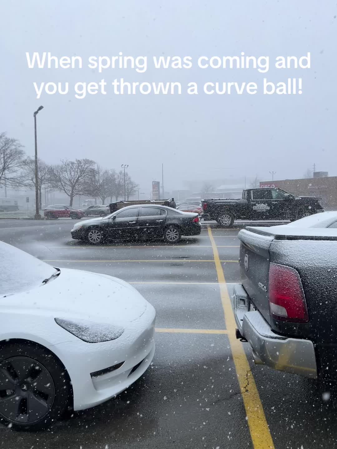 @AndrewC.75