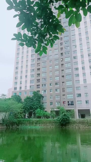 @KN lucky star8290