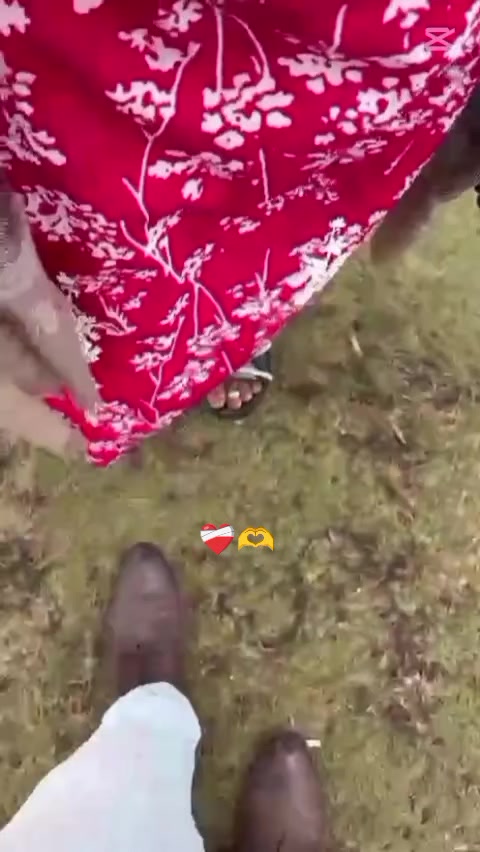 @♡🕊️