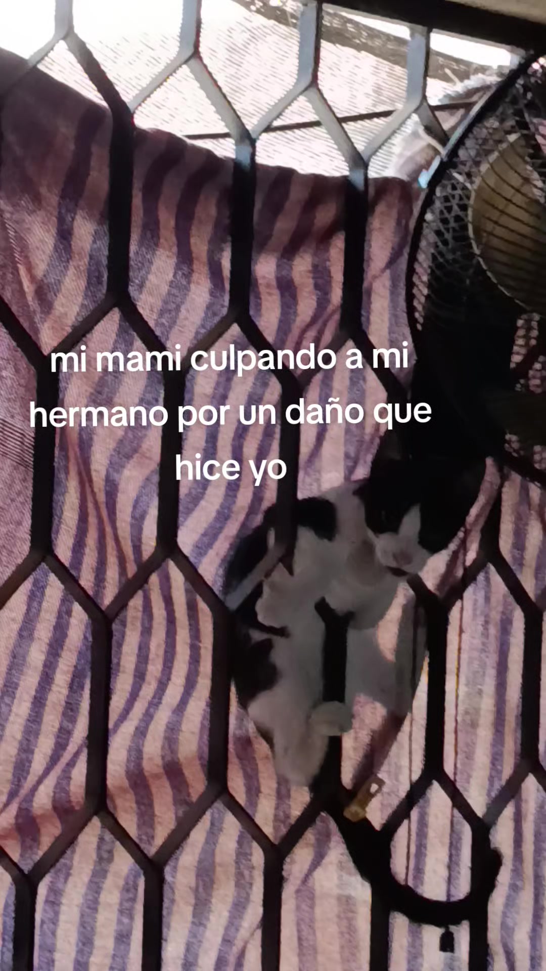 @susy123