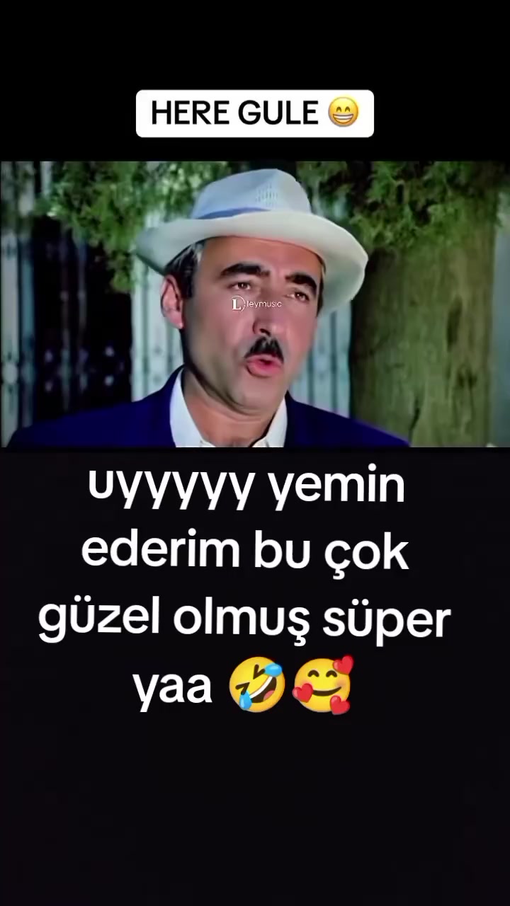 @mavig&ouml;l