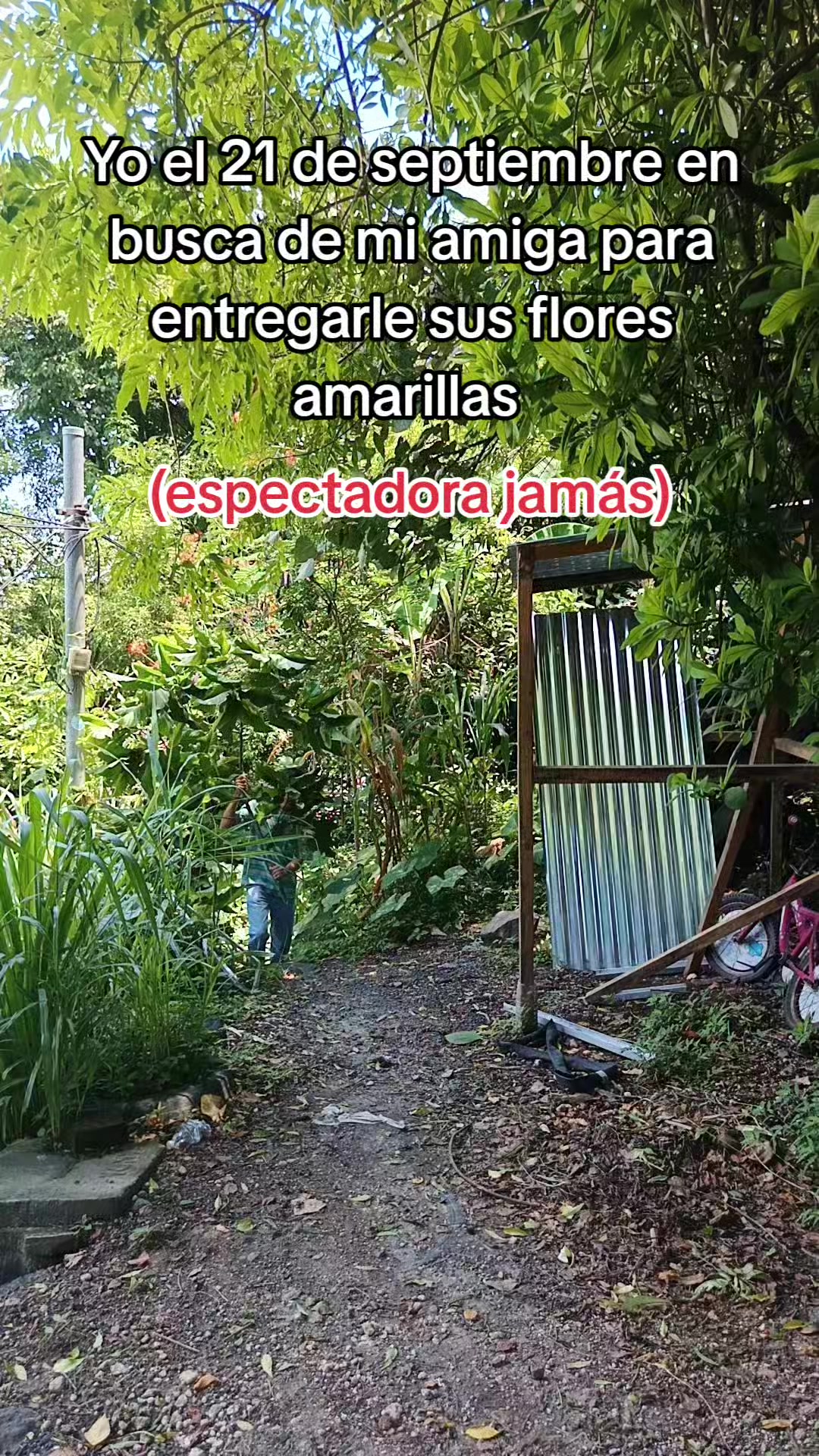 @Tonny Torres