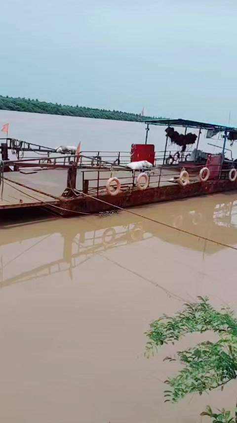 @aliprince71000