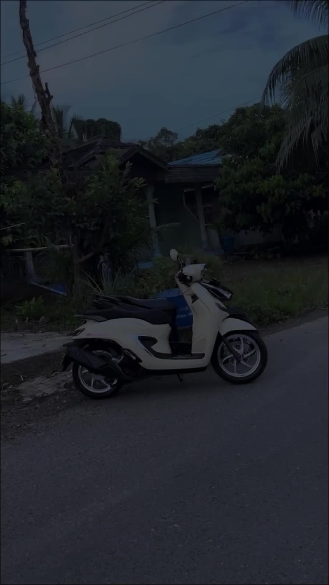 @Ahmad Sayuti