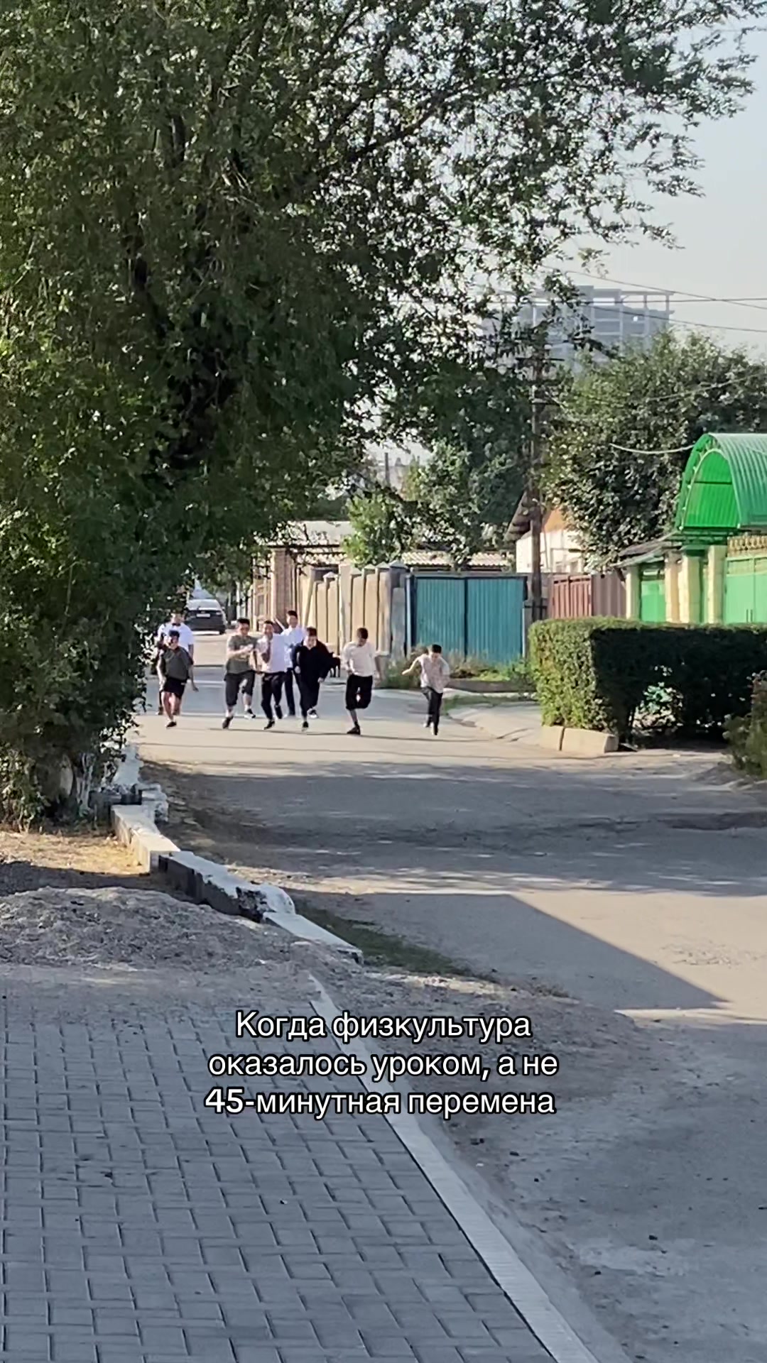 @8v