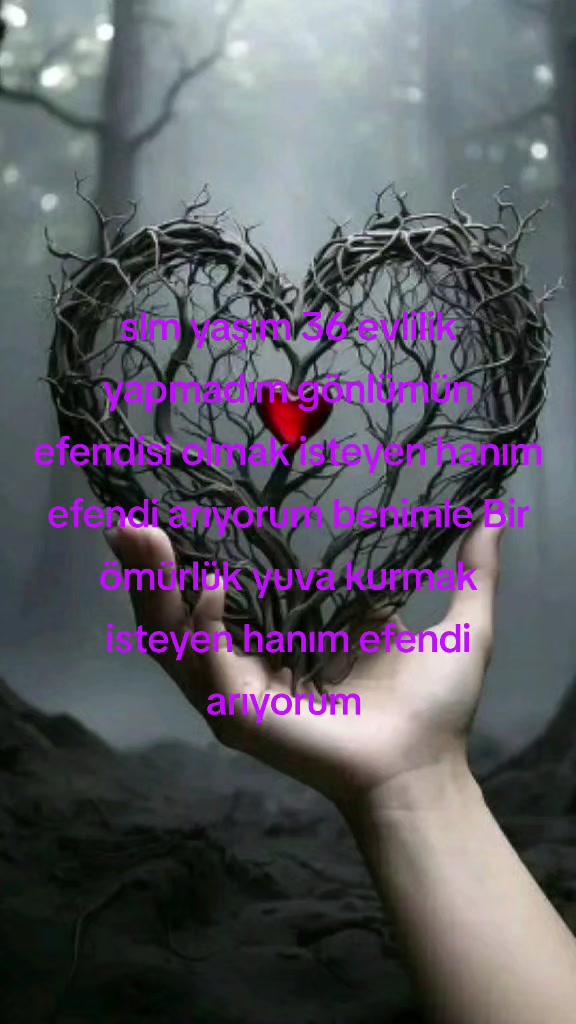 @Mustafa